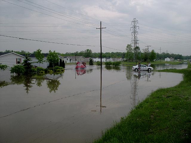 Picture 426.jpg